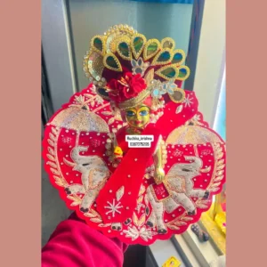 Red Wedding Dress For Gopal Ji
